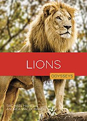 Lions (26)