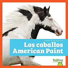 Los caballos American Paint (American Paint Horses) (26)