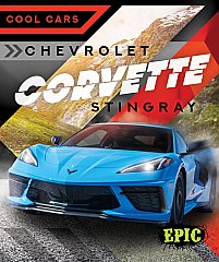 Chevrolet Corvette Stingray (23)