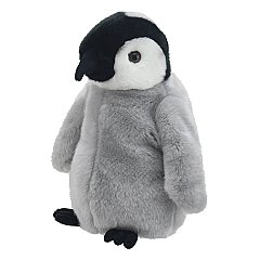 Penguin Chick (25)