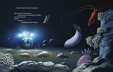 Deep, Deep Down: The Secret Underwater Poetry of the Mariana Trench (23)