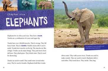 Top 10: Body Parts (17)