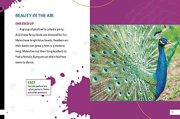 Extremely Beautiful Creatures (23)