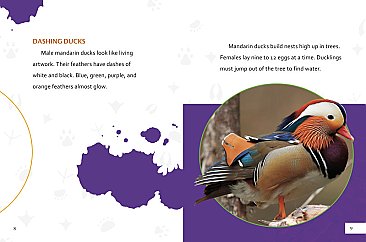 Extremely Beautiful Creatures (23)