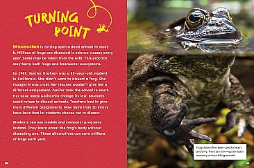 Save Amphibians (24)