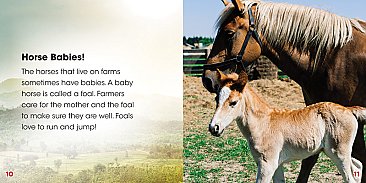 Horse Farms (23)