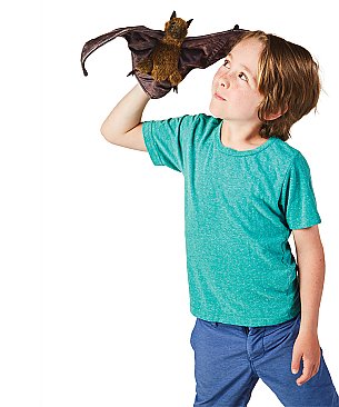 Fruit Bat (23)