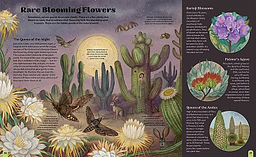 Once in a Blue Moon: Nature's Rarest Events and Best-Kept Secrets (25)