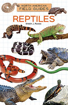 Reptiles (24)