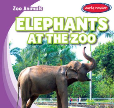 Elephants at the Zoo (16)