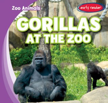 Gorillas at the Zoo (16)