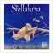 Stellaluna Big Book (97)